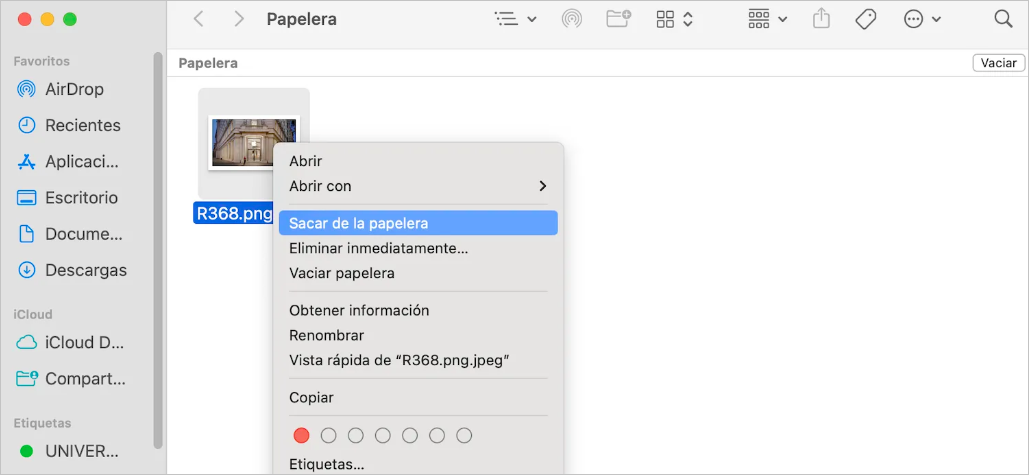 Sacar de la papelera
